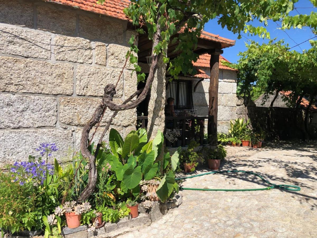 הוילה אמרנטה Casa Campo מראה חיצוני תמונה